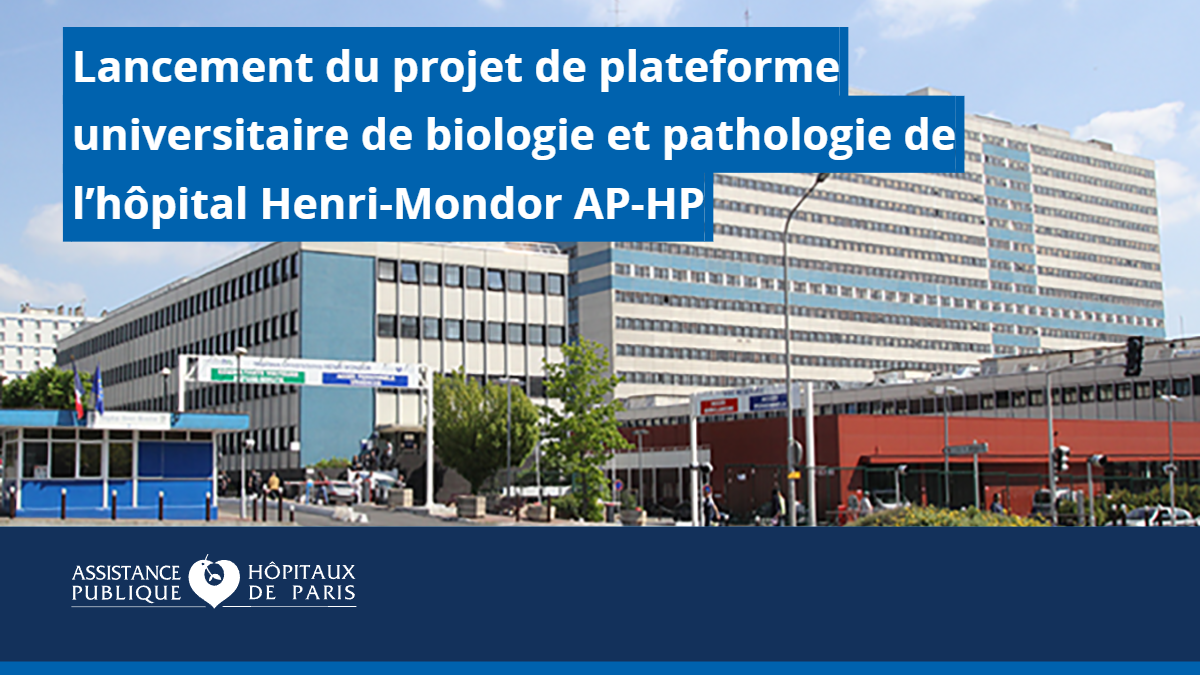 Vignette plate forme HMN